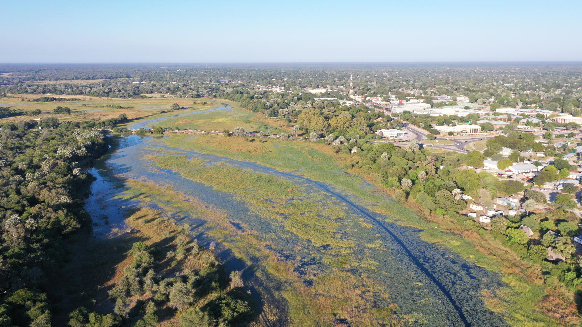 Botswanas Tierparadiese und Naturwunder entdecken